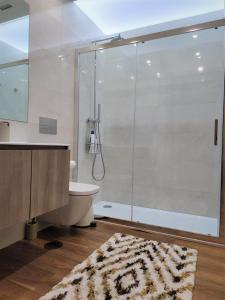 ポルトにあるTrindade Apartmentsのバスルーム(シャワー、トイレ付)、
