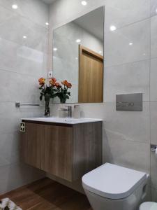 ポルトにあるTrindade Apartmentsのバスルーム(洗面台、トイレ、鏡付)