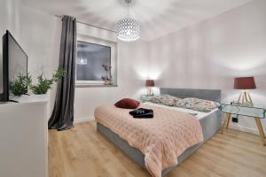 Televízia a/alebo spoločenská miestnosť v ubytovaní Nowoczesne Apartamenty typu Superior - Bulwary Rabka Zdrój - Balia - Blisko Park Zdrojowy