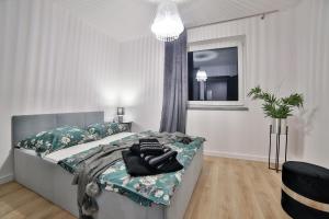 Gallery image of Apartamenty przy Bulwarach in Rabka