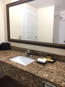 a bathroom counter with a sink and a mirror at Best Western Plus Universal Inn in Orlando