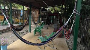 Foto sihtkohas Palomino asuva majutusasutuse Palomino Hostel galeriist