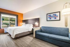 Gallery image of Holiday Inn Express & Suites Custer-Mt Rushmore in Custer