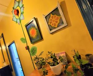 Fotografie z fotogalerie ubytování Gaslamp Hostel v San Diegu