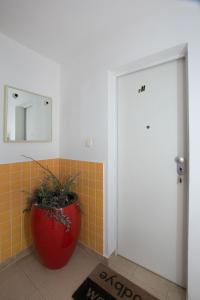 Fotografie z fotogalerie ubytování Apartments and Room Excelsior ve Splitu