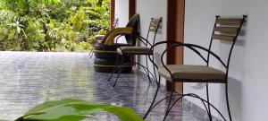 Um jardim no exterior de Cabaña Sak Ja Selva Lacandona