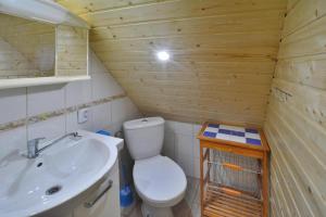 a small bathroom with a toilet and a sink at Cottage by Lake Ostrowieckie with Private Beach in Kosierzewo +31 photos