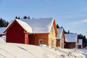 Holiday homes in the Schierke Harzresort, Schierke im Winter