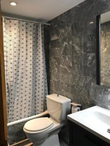 a bathroom with a white toilet and a sink at Apartament el Cérvol in La Molina