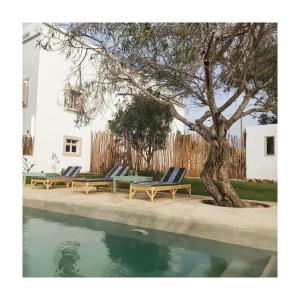 um grupo de espreguiçadeiras ao lado de uma árvore ao lado de uma piscina em Villa Nour em Essaouira