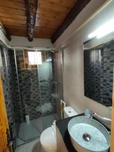 a bathroom with a sink and a glass shower at Magic Borda Puntal HUT 7983 in Ordino