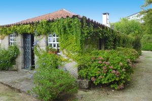 una casa cubierta de hiedra con un ramo de flores en holiday home, Folhada, en Marco de Canaveses