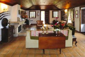 sala de estar con sofá y chimenea en holiday home, Folhada, en Marco de Canaveses