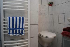 ein Bad mit einem WC und einem blauen und weißen Handtuch in der Unterkunft Ferienwohnung Pferdezentrum Edersee in Waldeck