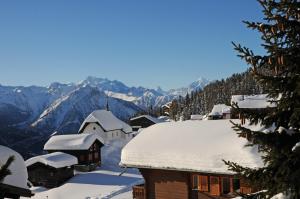 Alpenhaus Bettmeralp v zimě