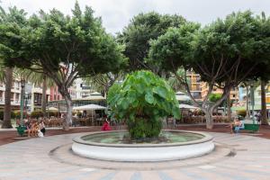 A garden outside Home2Book Sea View Studio Puerto de la Cruz