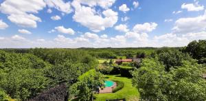 una vista sul tetto di un cortile con piscina e alberi di Hallerbos B&B in Bluebell Forest a Halle