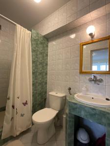 a bathroom with a toilet and a sink at Gościniec Jantar in Giżycko