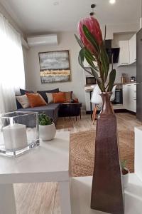 A seating area at Chrysalis 2
