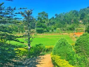 a dirt road leading to a field with trees at Ella Peace Heaven in Ella