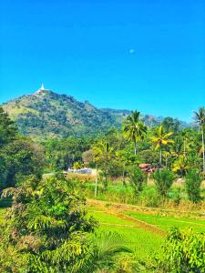 a mountain with a temple on top of it at Ella Peace Heaven in Ella