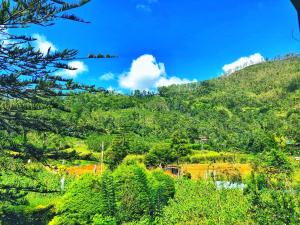 a green hill with trees and a blue sky at Ella Peace Heaven in Ella