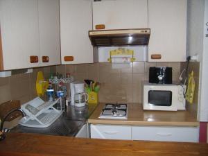 Кухня или мини-кухня в Réf LS 149 : Studio 4 pers Rés le Trident n°63
