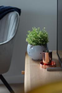 a plant in a vase sitting on a table at Mokotów Apartment LUX with Parking by Renters Prestige in Warsaw