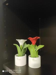 Fotografia z galérie ubytovania Casa Vacanze Zia Rose v Neapole