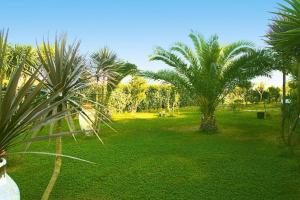 un patio verde con palmeras en un parque en Holiday home Castiglione di Sicilia, en Castiglione di Sicilia