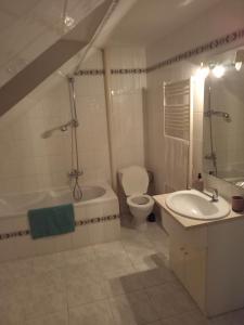 a bathroom with a sink and a toilet and a bath tub at Ubytování Foltýn in Pavlov