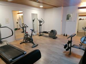 Fitness centrum a/nebo fitness zařízení v ubytování Hotel Trento