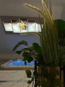Bazén v ubytování Hotel Sanvilla nebo v jeho okolí