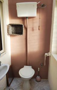 La petite salle de bains est pourvue de toilettes et d'un lavabo. dans l'établissement Wilga Summit Apartment A, à Qala