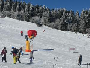 um grupo de pessoas numa pista de esqui coberta de neve em Apartment Eisenhauer in Schluchsee em Schluchsee