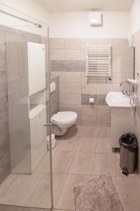 ein Bad mit einer Dusche, einem WC und einem Waschbecken in der Unterkunft Moje Tatry Gluten Free in Biały Dunajec