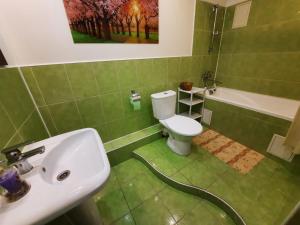 オレンブルクにあるApartments on Samoletnaya stのバスルーム(洗面台、トイレ、バスタブ付)
