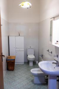 a bathroom with a toilet and a sink at Camia Etna House in Piedimonte Etneo