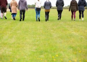 un grupo de personas caminando en el césped en Fullers Hill Cottages, en Little Grandsen