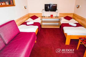TV a/nebo společenská místnost v ubytování Hotel Rudolf