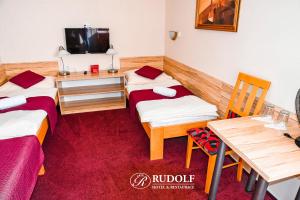 TV a/nebo společenská místnost v ubytování Hotel Rudolf