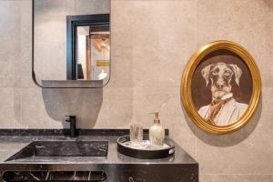 uma casa de banho com um espelho com um cão de gravata borboleta em Boutique D’Argent em Toledo