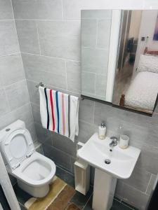 La salle de bains est pourvue de toilettes blanches et d'un lavabo. dans l'établissement Femros Cosy one bed apt,12mins to Birmingham city ctr, à Birmingham