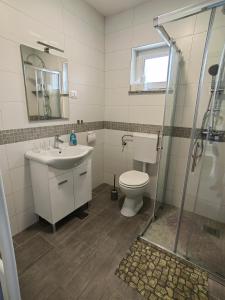 a bathroom with a toilet and a sink and a shower at Apartman Marija in Perušić +58 photos