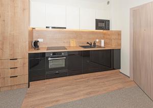 a kitchen with a counter with a sink and a stove at Apartament Piano in Świeradów-Zdrój