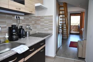 Kuchyň nebo kuchyňský kout v ubytování Föveny Apartmanok