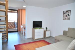 TV a/nebo společenská místnost v ubytování Föveny Apartmanok