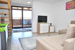 TV a/nebo společenská místnost v ubytování Föveny Apartmanok