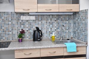 Kuchyň nebo kuchyňský kout v ubytování Föveny Apartmanok