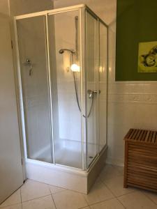 La salle de bains est pourvue d'une douche avec une porte en verre. dans l'établissement Gemütliche 1 12-Zimmer Wohnung, à Hoisdorf